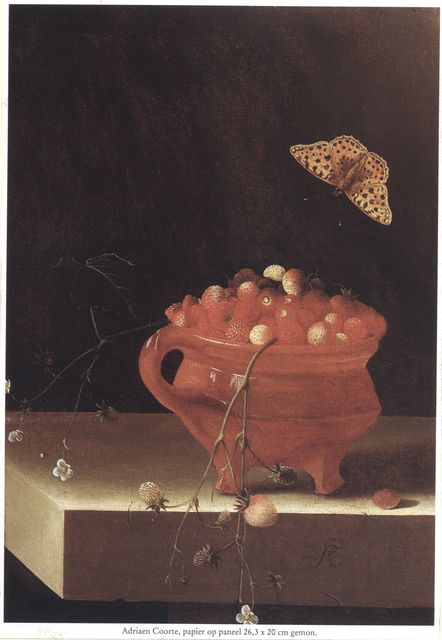 Christie's — Adriaen Coorte. A Pot of Wild Strawberries on a Stone Ledge with a Butterfly — insieme